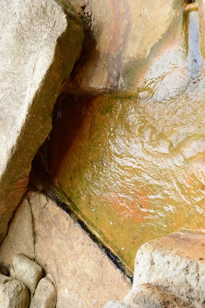 DSC_2668 (Large).JPG